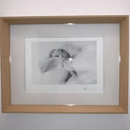 C'est L'app'art! Centre Apartment Pau